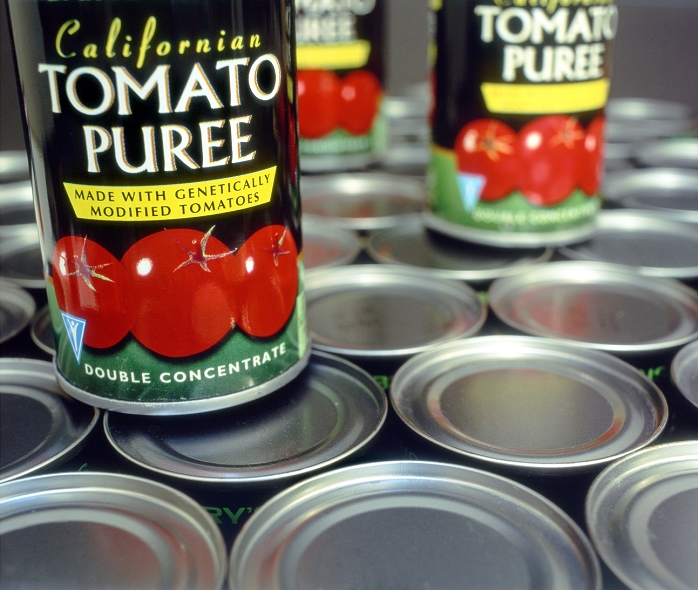 Genetically modified tomato puree in tins. Genetic modification involves adding or deleting sections of DNA (deoxyribonucleic acid) to create desirable changes in an organism. Several GM tomatoes and related products, with improved shelf-life, are on the market. Tomato puree is concentrated paste prepared from tomatoes, and used in cooking for flavouring food.