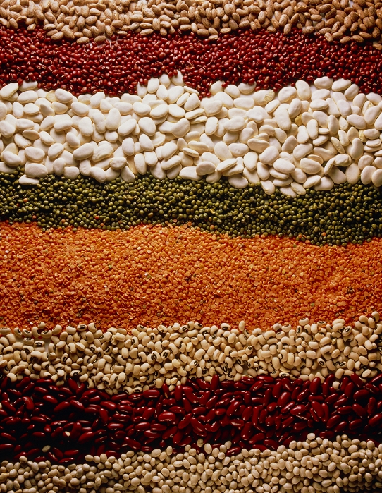 A selection of pulses; from top: pinto beans, adzuki beans, butter beans, mung beans, red lentils, black-eye beans, red kidney beans and soya beans. Pulses are the seeds of leguminous plants. They are a concentrated source of vegetable protein and make a vital contribution to human diets in countries where animal protein is expensive or scarce. Soya beans are the major temperate protein crop in the West, used mostly for oil production and animal feed. In Asia most are processed into soya milk and bean curd. Pulses play a useful role in crop rotation because they raise soil nitrogen levels.