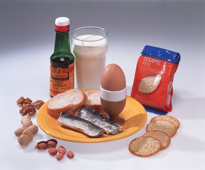 Food allergies. Selection of foodstuffs which may provoke allergic reactions in some people. Seen here are nuts, milk, sesame seeds, fish, soy sauce, an egg and bread.