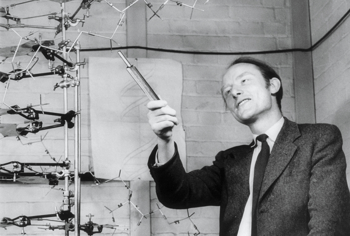 Francis Crick  1953   BCOMMERCIAL USE REQUIRES CLEARANCE. Francis Crick  1916 2004 , British molecular biologist and co  discoverer of the structure of DNA. Crick s education was in physics, but after World War 2 he moved to Cambridge and took up molecular biology. Crick met James Watson in 1951, the two agreeing to study the structure of DNA as the basis of the genetic code. Basing their theories on much existing work, as well as the crystallography of Wilkins and Franklin, the two announced their  double helix  structure in 1953. As a result, Crick, Watson and Wilkins shared the 1962 Nobel Prize for Physiology or Medicine. Photographed at Cambridge in 1953.