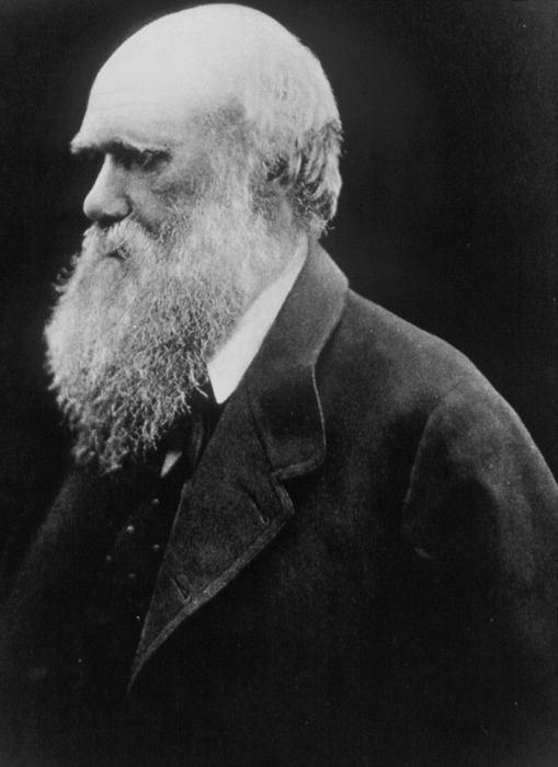 Great People of the World Charles Darwin  Date of shooting unknown  Charles Robert Darwin  1809 1882  English naturalist and author of the Origin of Species as an old man. He suggested that natural variation in a species creates a wide range of individual characteristics, some of which are more useful than others. The competition to survive in nature provides a driving force for evolution in the form of natural selection, a mechanism which weeds out those individuals possessing traits less suitable to the enviroment. The implications of his theory to man s own origins fuelled a bitter controversy with the christian orthodoxy.