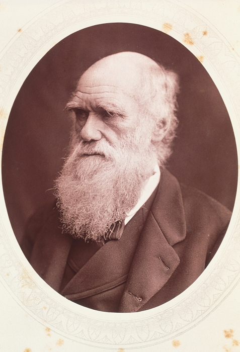 The World s Greatest Man Charles Darwin  Date unknown  Charles Darwin. Portrait of Charles Robert Darwin  1809 1882 , British naturalist. Darwin studied medicine and theology, but was most interested in natural history. In 1831, he joined the HMS Beagle as a naturalist on its five year voyage around the world. This provided the data for his book, On the Origin of Species by Means of Natural Selection  1859 . He proposed that natural variation in a species creates many individual traits, some more useful than others. Evolution results from only those offspring with the most competitive traits surviving. His ideas were opposed by the Church, but have now been largely accepted. Taken from the 1878 volume of Men of Mark and Distinction.