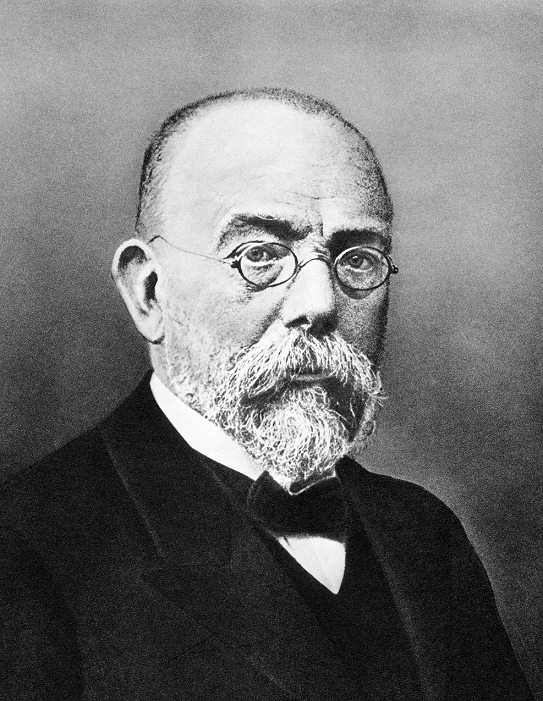 Roberto Koch  Date taken unknown   Robert Koch  1843 1910 , German bacteriologist. Along with Louis Pasteur, Koch is considered the founder of modern medical bacteriology. His techniques for cultivating bacteria, both in liquid and solid media, and his use of stains, enabled him to study the life cycles of bacteria in laboratory conditions. As a result he was able to isolate the specific bacteria responsible for certain diseases. The high point of his career was the identification in 1882 of Mycobacterium tuberculosis, the bacterium responsible for tuberculosis  TB . Koch was awarded the Nobel Prize for medicine and physiology in 1905.