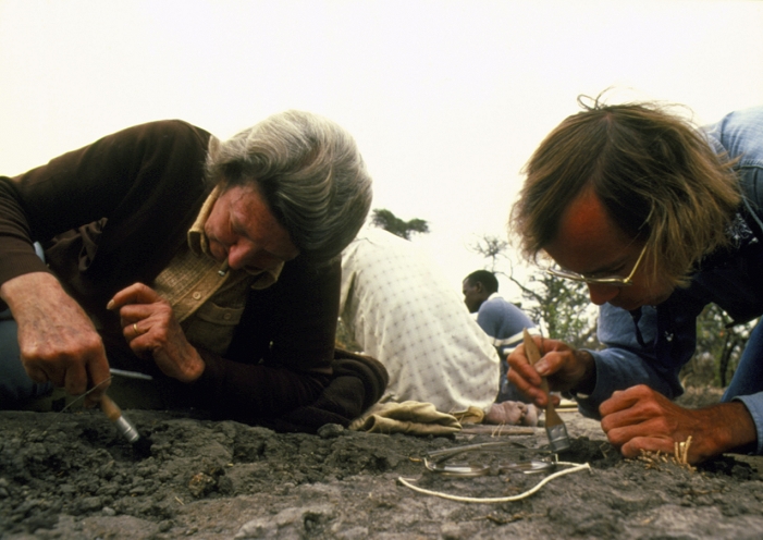 3.6 million year old footprint fossils discovered in northern Tanzania  1978  Mary Leakey  1913  , palaeoanthropologist, seen here on site with fellow palaeoanthropologist Tim White, during excavations at Laetoli, Tanzania, in 1978. It was during this expedition that the famous Laetoli fossil hominid footprints were uncovered. This 40 metre trail dated from 3.6 million years and showed that hominids had acquired the upright, bipedal, free striding gait of modern man by this time. Mary Leakey was married to the palaeoanthropologist Louis Leakey.