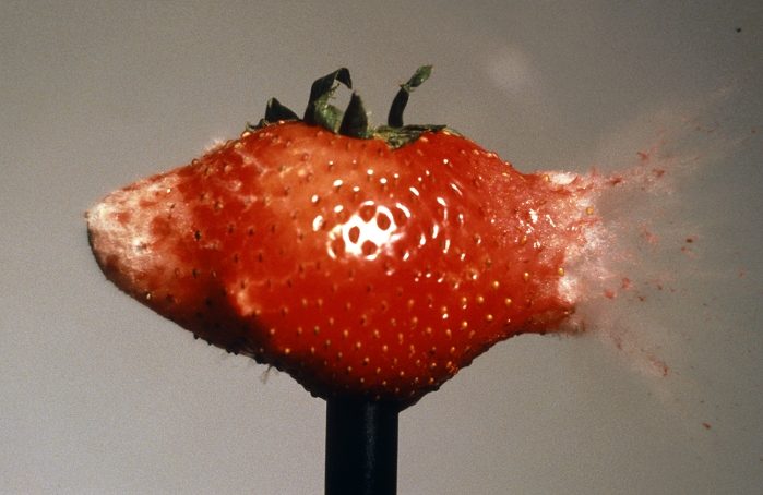 High speed photograph of a .22 calibre bullet striking a strawberry. The bullet was travelling at about 450 metres per second (Mach 1.4).