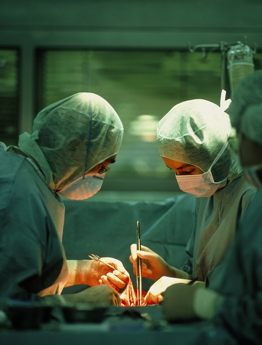 . Heart surgery. View of a pair of surgeons conducting open heart surgery in an operating theatre. They are wearing surgical caps, gowns and face masks to maintain a sterile environment. During open heart surgery the heart must be stopped, so a heart-lung machine is needed. Tubes (not seen) carry deoxygenated blood from the patient's main veins into the heart-lung machine. In the machine, the blood is oxygenated, warmed, and pumped back into the patient's aortic artery. Heart surgery is conducted to treat defective heart valves, in cases of heart transplant, or to carry out coronary bypasses. MODEL RELEASED