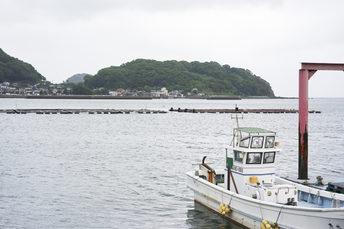 Photo taken in 2019 Togoishi area, Nagasaki City, Japan Tiger puffer fish tank June 2019 Nagasaki, Nagasaki, Japan