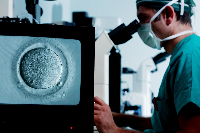 . In vitro fertilisation (IVF) being performed by a fertility doctor (right). The doctor is using a light microscope to view a human egg cell (seen on screen at left). Once the egg cell has been located, a micro-pipette will be used to hold it in place while a micro-needle is used to inject a human sperm cell inside the egg cell. This is known as intracytoplasmic sperm injection (ICSI). The injected sperm fertilises the egg and the resulting zygote is grown in the laboratory until it reaches an early stage of embryonic development. It is then placed in the patient's uterus to develop into a foetus. IVF allows infertile couples to conceive a child. MODEL RELEASED