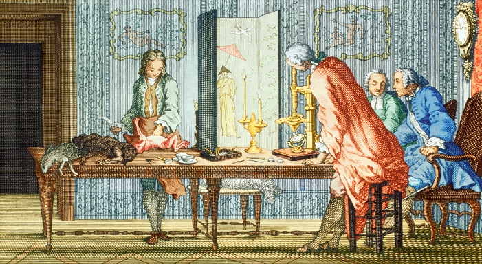 Animal experiment. Historical artwork of animals being dissected and examined under a microscope. This illustration is taken from the book Histoire Naturelle (Natural History) by the French naturalist Georges Louis Leclerc, Comte de Buffon (1707-1788). This was the first modern work to attempt to deal with the whole of the natural world and eventually ran to 44 volumes. Buffon was groping towards a concept of evolution in his work. He noted that some creatures had parts that were useless to them and deduced that parts, and perhaps whole animals, might degenerate.