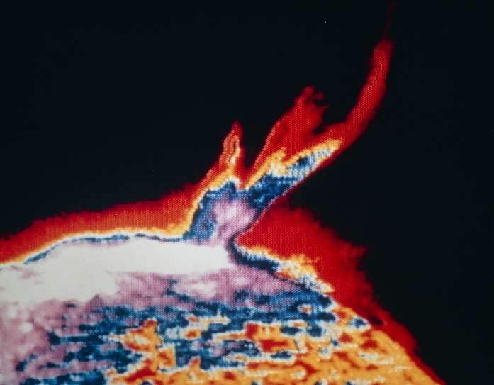 False-colour ultraviolet image of an eruptive prominence on the Sun, photographed from the Skylab space station on August 21, 1973. Taken in the light of helium, at a wavelength of 30.4 nanometres, the picture also shows the Sun's chromosphere. The faintest regions in the image are coloured red, & brighter regions yellow, blue, lilac & white. The white area is an active region associated with a sunspot group. The magnetic fields have flung the prominence out into space as the multi-stranded jet of matter extending half a million kilometres. North is to the right. The photo was taken with Skylab's ATM (Apollo Telesc- ope Mount) extreme ultraviolet spectroheliograph.