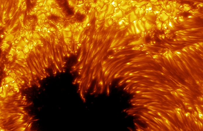 Sunspots. Swedish One-metre Solar Telescope image of sunspots on the surface of the Sun. Sunspots are cooler regions of the Sun's surface that appear dark against their brighter, hotter surroundings. They comprise a dark umbra surrounded by a lighter, filamentous penumbra. The individual filaments comprising the penumbra are around 150-180 kilometres in diameter. It is thought sunspots are formed by powerful magnetic fields intersecting the Sun's visible surface (photosphere). The amount of sunspots on the Sun varies over an eleven year cycle, for unknown reasons. Image taken on 15th July 2002.