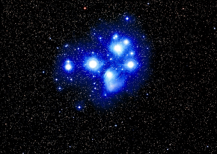 Pleiades star cluster. True-colour optical image of the Pleiades open star cluster (M45, NGC 1432). This cluster is about 30 light years wide, and lies 400 light years away in the constellation Taurus. The brightest stars are embedded within streaky reflection nebulae, wisps of cold gas and dust which reflect the light of the stars. These are thought to be the remnants of the gas cloud from which the stars formed. The cluster is also known as the Seven Sisters, although most people can only see six stars with the naked eye. It actually contains around 500 stars. This image was produced by digitally combining photographs taken by the UK Schmidt Telescope in blue and red light.