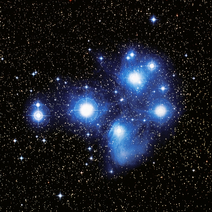 Pleiades star cluster. True-colour optical image of the Pleiades open star cluster (M45, NGC 1432). This cluster is about 30 light years wide, and lies 400 light years away in the constellation Taurus. The brightest stars are embedded within streaky reflection nebulae, wisps of cold gas and dust which reflect the light of the stars. These are thought to be the remnants of the gas cloud from which the stars formed. The cluster is also known as the Seven Sisters, although most people can only see six stars with the naked eye. It actually contains around 500 stars. This image was produced by digitally combining photographs taken by the UK Schmidt Telescope in blue and red light.