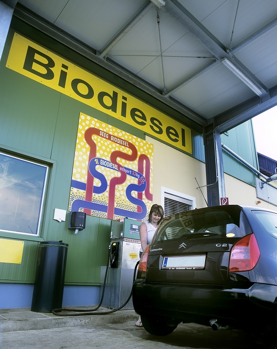. Biodiesel pump. Woman filling her car with biodiesel at a petrol station. This fuel is partly made from recycled cooking oil. Biodiesel contains alkyl esters, which are made from vegetable oils such as rapeseed (Brassica napus) or animal fats. The continual growth of new oil based plants, which absorb carbon dioxide from the air through photosynthesis, means that biodiesel contributes less to global warming than fossil fuels do. Photographed near Mureck, Austria. MODEL RELEASED