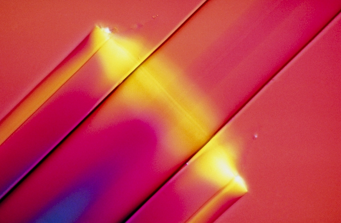 light micrograph of a fibre optics wave guide of the type used for signal transmission in all aspects of communications. This particular type of fibre is known as a monomode. The feint impression of the innermost core of the fibre is visible as a darker shade of red (its refractive index is different from the surrounding material): it is along this inner core that the light signals travel. The additional external tube is the fibre's protective cladding which takes no part in optical transmission but protects the delicate fibre from mechanical damage. Differential interference contrast illumination, magnification: X 64 at 35mm size. Reference: MICROCOSMOS figure 8.27, page 165.