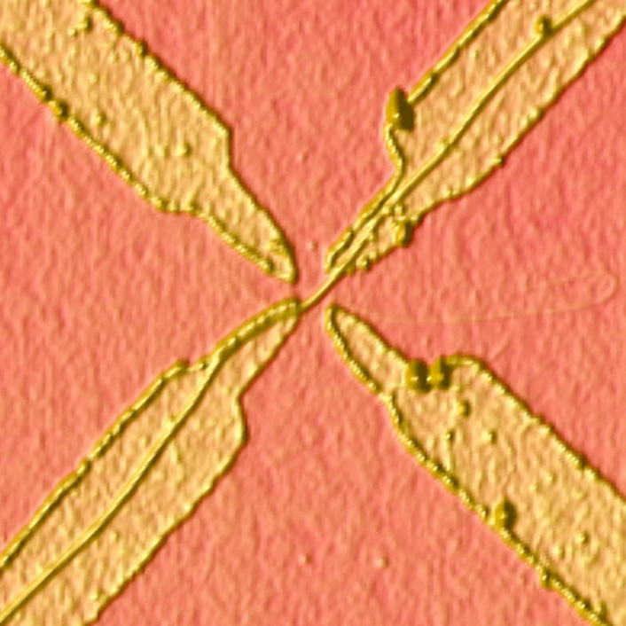 Molecular transistor. Coloured atomic force micro- graph (AFM) of a transistor on the molecule scale. It consists of electrodes (yellow) created by electron beam lithography (EBL) linked with a carbon nanotube. EBL uses an electron beam to etch structures onto a surface. Transistors control current in electronic circuits. Their miniaturis- ation has led to faster and faster computers. Atomic force microscopy is a technique used for studying surfaces at an atomic level. A thin probe is moved over the surface, and its movements as it follows the contours are used to create an image. Magnification: x35,000 at 6x6cm size.