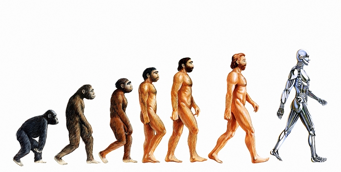 The process of human evolution  Dating unknown  Artificial intelligence. Computer artwork depicting the evolution of a robot  far right  with artificial intelligence from a human man  Homo sapiens, second from the right . The early primate ancestors and relatives of the human are also seen. In the future, realistic human like robots  androids  may possess artificial intelligence  AI . This is the ability to learn and reason independently of their initial programming. Here the android is represented as being more advanced than humans.