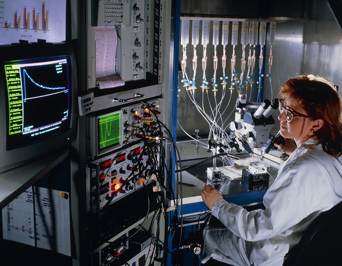 POSED BY MODEL. Electrophysiology research. Woman scientist in a pharmaceutical laboratory conducts research into novel drugs that act on the central nervous system (CNS). Sitting at a microscope, she is using a voltage clamp on messenger RNA (mRNA) injected oocytes (egg cells). The results of the experiment are seen on the monitors at left. Photographed at Glaxo Pharmaceuticals in Verona, Italy.