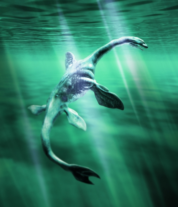 Loch Ness monster. Computer artwork of the Loch Ness Monster swimming in Loch Ness, Scotland. Sightings of the monster have occurred at least since the 15th century, with earlier stories dating to the 6th century, but scientific evidence for its existence is lacking. Often the creature is said to resemble a plesiosaur (a prehistoric marine reptile), with a long, elegant neck, small head, and flippers. Sceptics have suggested that the sightings are of nothing more than unstable masses of drifting peat. However, the monster's alleged existence continues to attract tourists, and the myth endures.