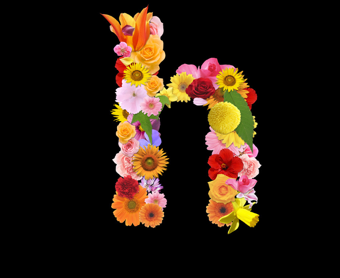 Flower letter h