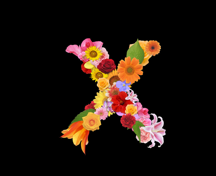 Flower letter x