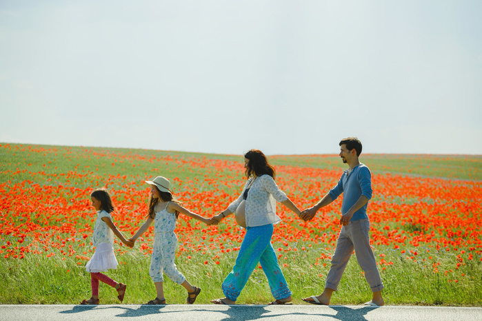Pregnant family holding hands, walking along sunny, rural red poppy field