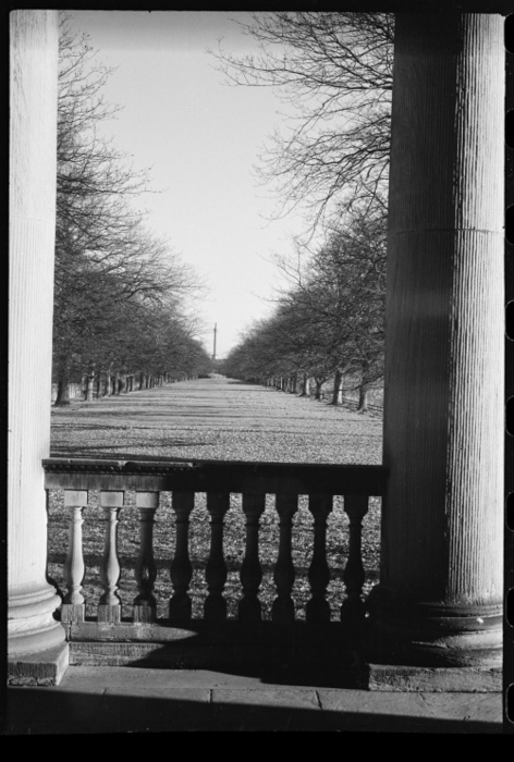 Gibside Chapel, Whickham, Gateshead, Tyne  amp  Wear, c1955 c1980. Creator: Ursula Clark. Gibside Chapel, Whickham, Gateshead, Tyne  Wear, c1955 c1980. A general view, seen from the portico of the chapel, and looking north east down the tree lined walk towards the Monument of British Liberty in the background. The chapel and mausoleum was begun between 1760 and 1769, and was completed in 1812. It was designed by James Paine for MP and coal owner George Bowes. The chapel has one storey over a basement, and the front elevation has three bays with an Ionic portico with pediment. there is a two sided staircase with balustrade and central door, and the Ionic columns are repeated at the corners of the main front. Behind is a tall parapet with urn finials and balustraded outer sections. The roof has a central drum with garlands, and a lead covered domed roof on top. The building is cruciform, with extensions on the north and south sides, which have a small open pediment over a semi circular window. The monument was erected between 1750 and 1757 by Daniel Garrett and James Paine after 1753, and the statue of British Liberty was created by Christopher Richardson. The monument was for George Bowes and consists of an ashlar column 140ft high with an overhanging plinth with the stature carrying the Staff of Maintenance and Cap of Liberty.