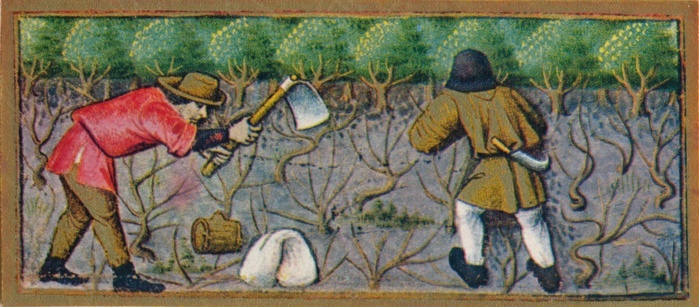 March   working in the vineyard, 15th century,  1939 . Creator: Robinet Testard. March   working in the vineyard, 15th century,  1939 . Two labourers among the bare vine stocks: the man bending over on the left is hoeing the ground to turn the earth over. The one on the right carries a billhook at his waist, used for pruning the vines. Detail of a page from the Heures de Charles d Angoul  xea me, a book of hours commissioned by Charles of Orl  xe9 ans  1459 1496 , with miniatures mostly painted by Robinet Testard, and now in the Biblioth  xe8 que nationale de France in Paris. Published in Verve   No. 8, Vol. II.  Verve, France, 1939 