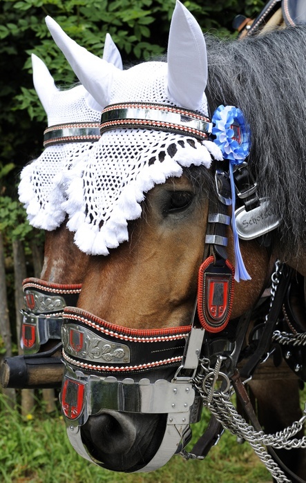 Festively decorated horse of the Spatenbrauerei brewery, parade in traditional costume at the Loisachgaufest festival in Neufahrn, Upper Bavaria, Bavaria, Germany, Europe, Photo by Hans Lippert