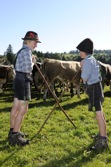 Two young boys during the Almabtrieb, cattle drive, Viehscheid, sorting of cattle in Pfronten, Ostallgaeu, Allgaeu, Swabia, Bavaria, Germany, Europe, Photo by Hans Lippert