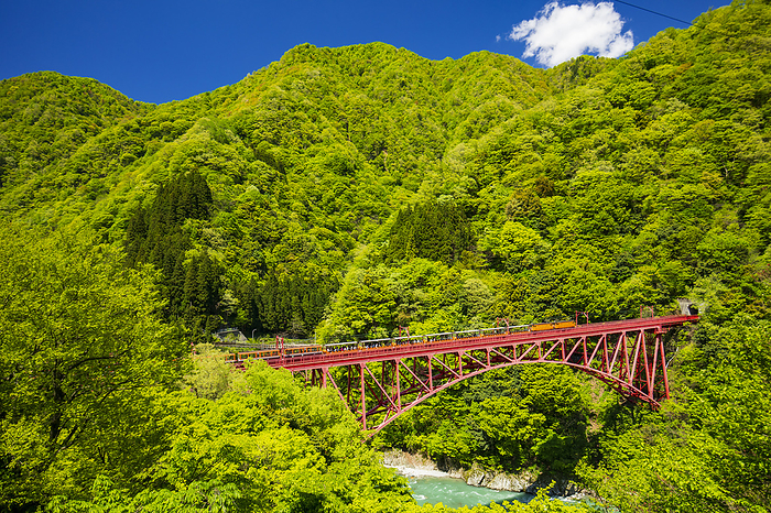 Japan Toyama Kurobe Gorge Railway