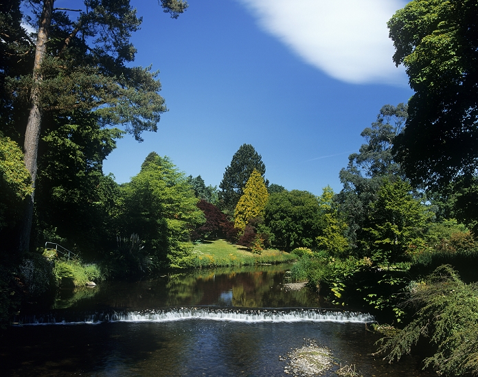High Angle View Of A Waterway, Mount Usher, County Wicklow, Republic Of Ireland