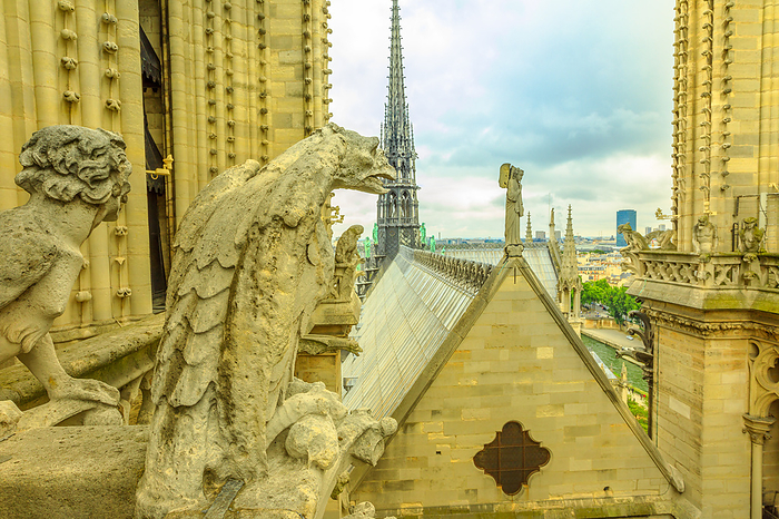 The gargoyles of Notre Dame cathedral from aerial view on Paris skyline. Paris city capital of France. Top view of the gothic church Our Lady of Paris, The gargoyles of Notre Dame Cathedral  Our Lady of Paris  and aerial view over the Paris skyline, Paris, France, Europe, Photo by Alberto Mazza