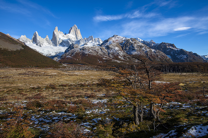 Typical autumnal Patagonian landscape with Mount Fitz Roy, El Chalten, Patagonia, Argentina, Typical autumnal Patagonian landscape with Mount Fitz Roy, El Chalten, Los Glaciares National Park, UNESCO World Heritage Site, Patagonia, Argentina, South America, Photo by Ed Rhodes