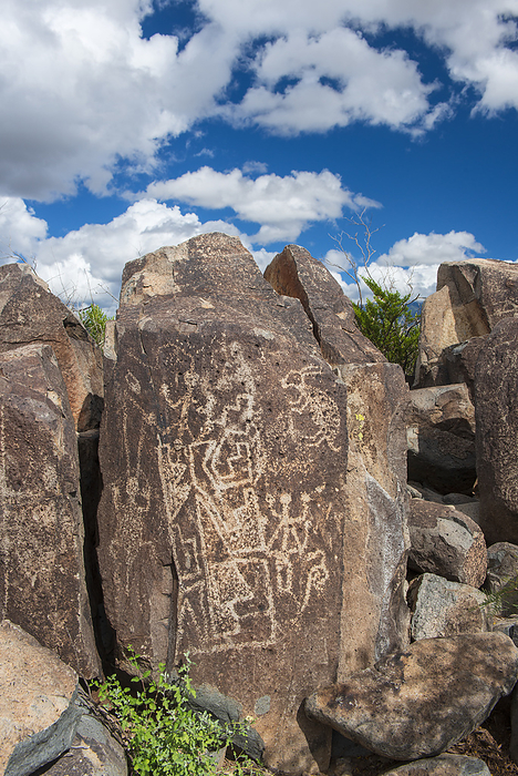 New Mexico USA,New Mexico, Three Rivers Petroglyps. Photo by: Christian Heeb