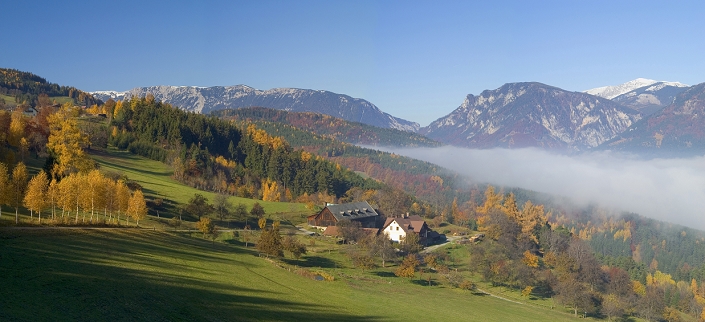 Fall foliage of birch trees leading to a farmhouse in the background the mountains Rax and Schneeberg Lower Austria