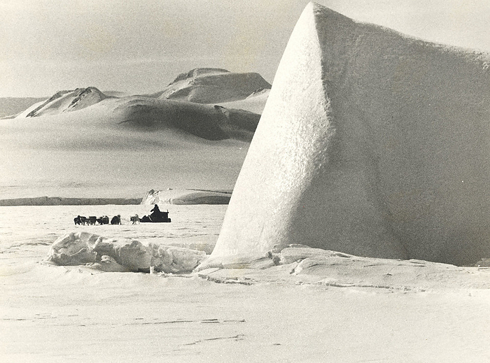 Naomi Uemura, Crossing the Antarctic Continent by Dog Sled  1983  Mr. Uemura training a dog sled Antarctica 1983
