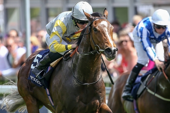Epsom Derby Day Zaaki ridden by Ryan Moore Grey yellow diamond wins the Investec Diomed Stakes on Epsom Derby Day Zaaki ridden by Ryan Moore  Grey, yellow diamond  wins the Investec Diomed Stakes on Derby Day during the 2019 Investec Derby Festival at Epsom Racecourse, Epsom  Photo by AFLO 