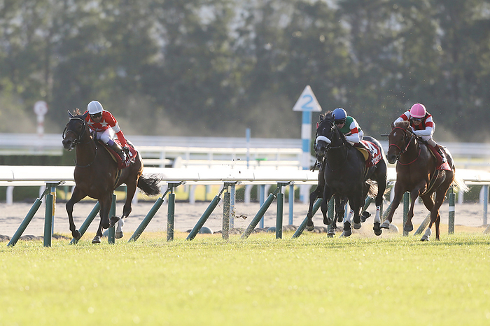 2019 Daily Cup 2 Year Old Stakes  G2   L R  Red Bel Jour  Yutaka Take , Succession  Oisin Murphy , Win Greatest  Masami Matsuoka , NOVEMBER 9, 2019   Horse Racing : Red Bel Jour ridden by Yutaka Take wins the Daily Hai Nisai Stakes at Kyoto Racecourse in Kyoto, Japan. Photo by Eiichi Yamane AFLO 