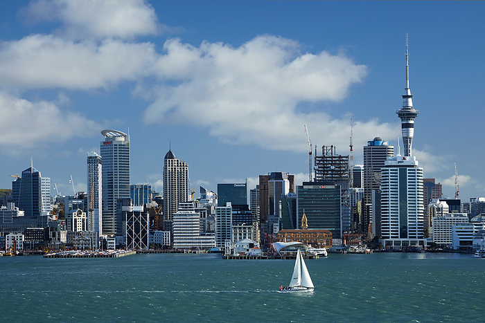 New Zealand Sky Tower, CBD, and yacht on Waitemata Harbour, Auckland, North Island, New Zealand