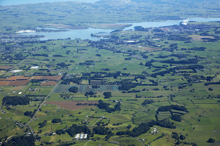 New Zealand Farmland near Waiuku, Auckland, North Island, New Zealand   aerial