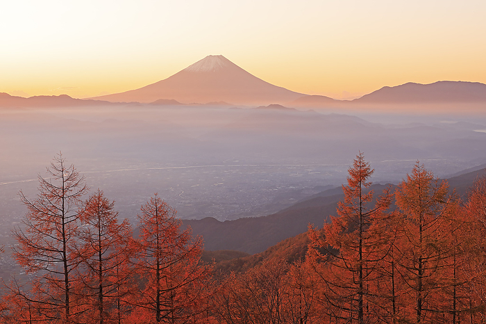 Mt. Fuji in the morning glow from Amariyama