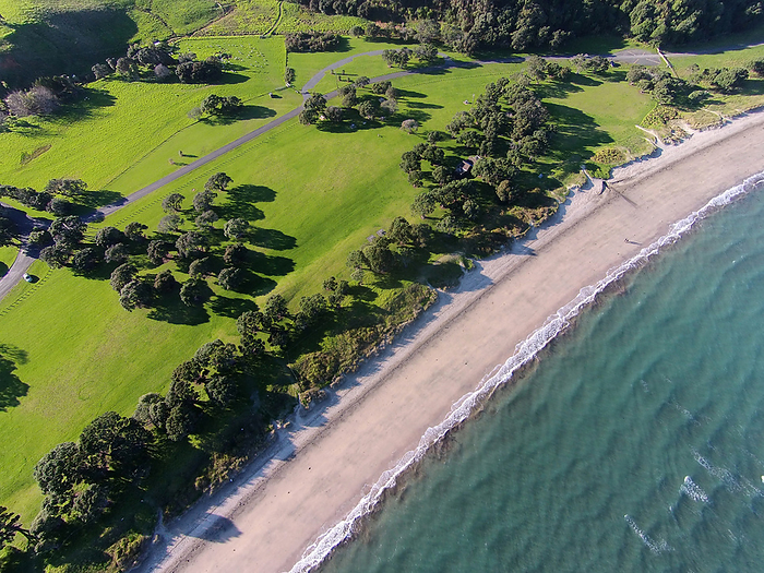 New Zealand Te Haruhi Bay, Shakespear Regional Park, Whangaparaoa Peninsula, North Auckland, North Island, New Zealand   drone aerial