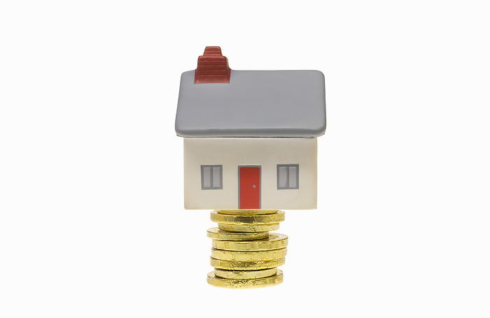 House model with gold coins