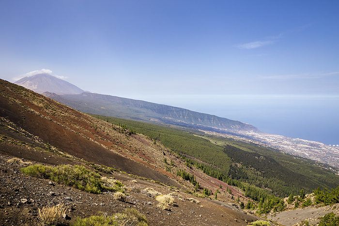 Spain Spain,Canary Islands,Tenerife,Teide National Park,view of Pico del Teide and Puerto de La Cruz, Photo by Filippo Manaigo