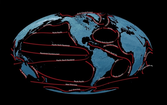Global ocean currents, illustration Global ocean currents, illustration. Surface ocean currents  warm, red arrows  cold, blue arrows  are driven by the winds. Opposing winds cause the currents in the ocean basins to form gyres, or giant loops. Currents shown here include various circumpolar, equatorial, drift and counter currents in the Arctic and Antarctic, and the northern and southern Atlantic, Indian and Pacific oceans. Other named currents are the East Greenland, Labrador, Gulf Stream, Azores, Canary, Guinea, Brazil, Benguela, Falklands, Agulhas, Somali, Peru, East Australian, West Australian, West Wind Drift, East Wind Drift, California, Alaska, Kamchatka, and Japan currents. For this illustration without labels, see image C047 7674.