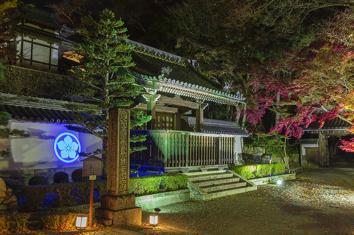 Lighting up the approach to Saikyoji Temple, Shiga Prefecture