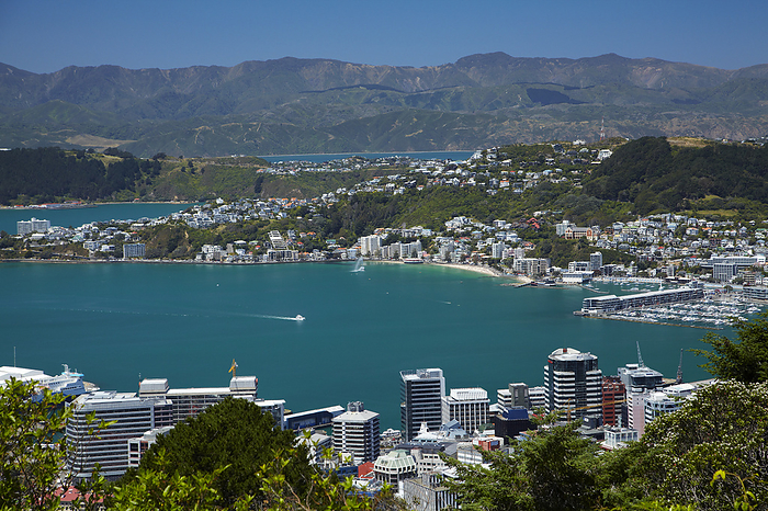 New Zealand CBD, Wellington Harbour and Oriental Bay, Wellington, North Island, New Zealand