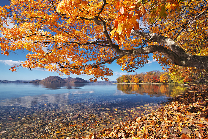 Autumn foliage and islands at Lake Toya, Hokkaido
