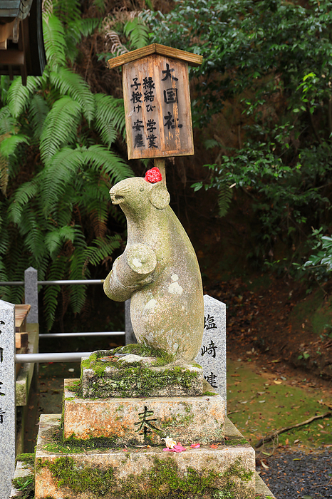 A gata Komarinezumi  a rat  at Okuni sha, Otoyo jinja Shrine, Kyoto, Japan Holding a picture scroll of learning